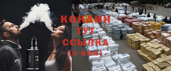 индика Ростов