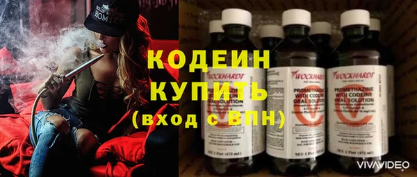 ПСИЛОЦИБИНОВЫЕ ГРИБЫ Рославль